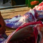 carne