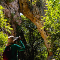 Caminhos da Ibiapaba revela trilha de 180 quilômetros que atravessa três biomas e encanta aventureiros no Nordeste